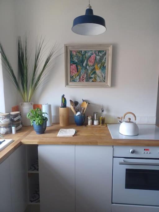The Fuzzy Duck Apartment Broughty Ferry Luaran gambar