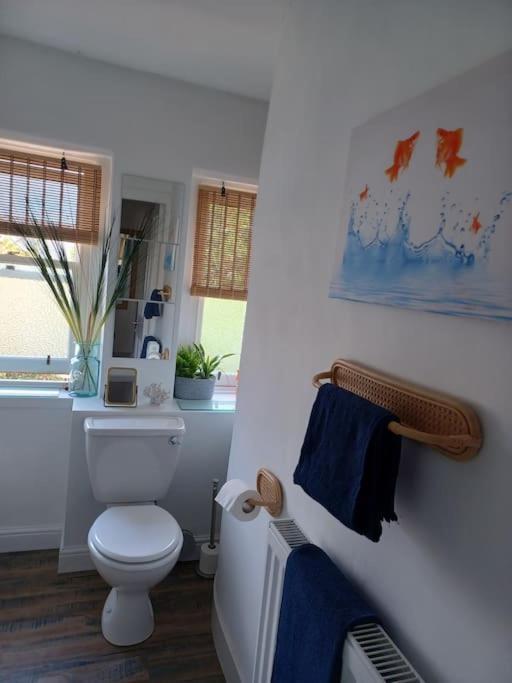 The Fuzzy Duck Apartment Broughty Ferry Luaran gambar